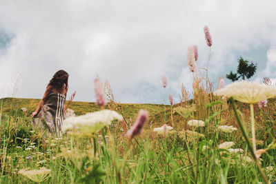 Panoramic view of flower field against sky
