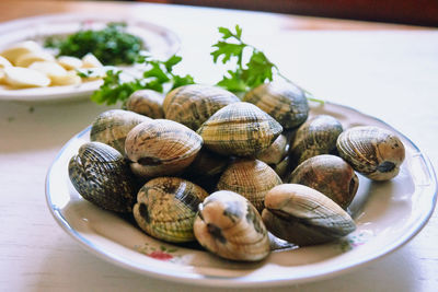 Close-up of shells in plate