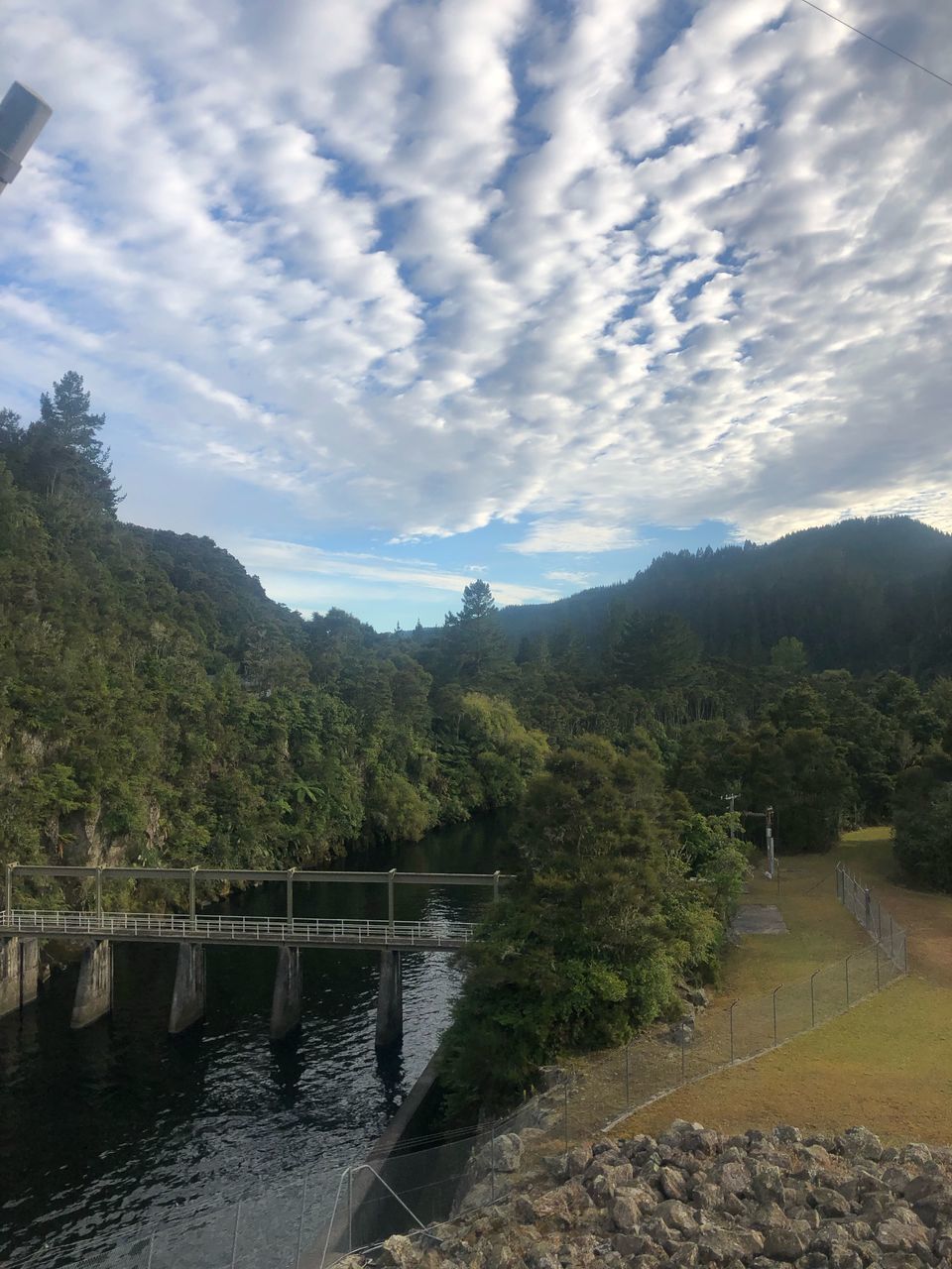 SCENIC VIEW OF RIVER AMIDST TREES AGAINST SKY