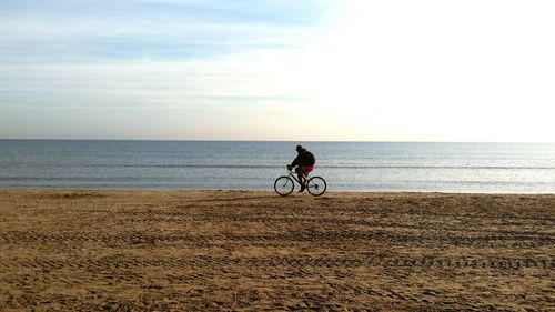 Rear view of people on beach