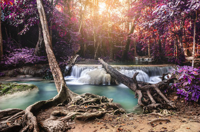 Scenic view of waterfall in forest during autumn