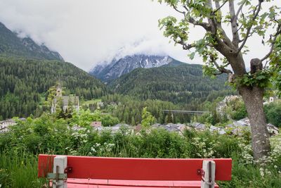 Plants growing on land against mountains