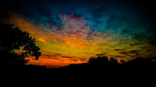 Silhouette trees against sky during sunset