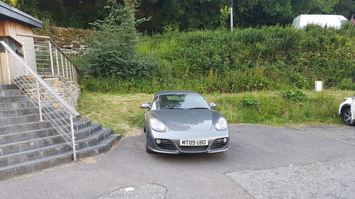 Car on road by trees in city