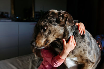 Child hands hugging dog sitting in the bed