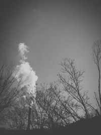 Low angle view of silhouette trees against sky