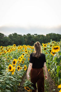 Rear view of woman standing on sunflower field