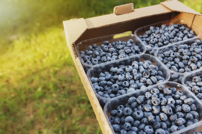 High angle view of grapes in container