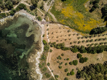 High angle view of road amidst land