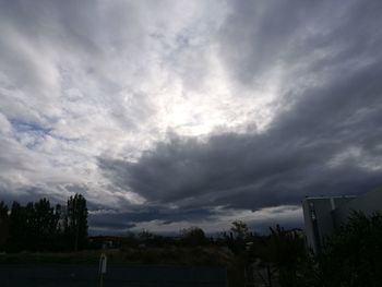 Trees against sky