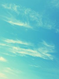 Low angle view of trees against blue sky