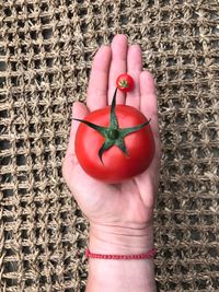 Cropped hand holding red tomatoes