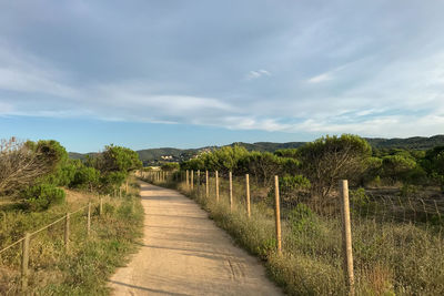 Footpath amidst field against sky