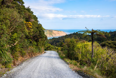 Road amidst trees and plants against sky