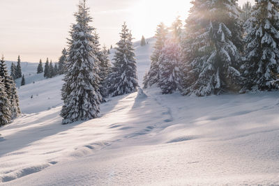 Snow covered landscape against sky