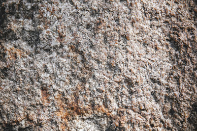 Full frame shot of cracked wall