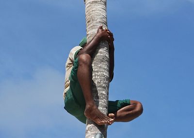 Low angle view of a man climbing tree