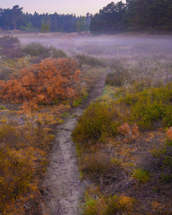 Scenic view of landscape during foggy weather