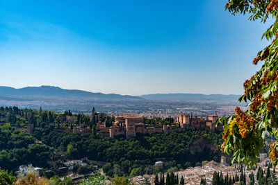 View of trees and buildings against blue sky