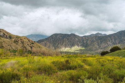 Scenic view of landscape against sky