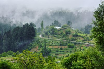 Scenic view of forest against sky