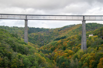 Scenic view of trees in forest against sky