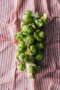 High angle view of vegetables