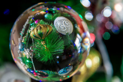 Close-up of christmas tree