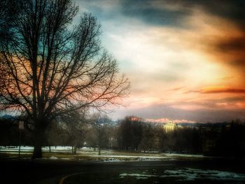 Bare trees on landscape against cloudy sky