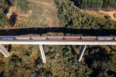 Bridge with train track over forest valley in the interior of brazil