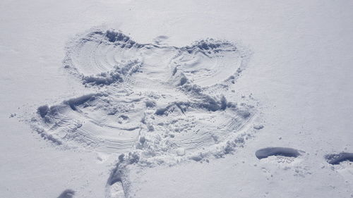 Snow angel