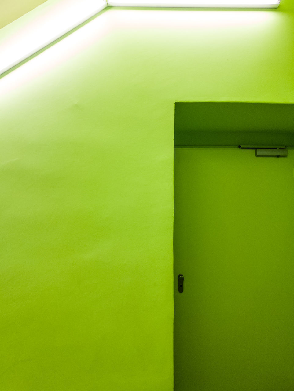 FULL FRAME SHOT OF GREEN WALL WITH CLOSED DOOR AND HOUSE