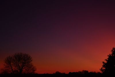 Low angle view of silhouette trees against sky at sunset