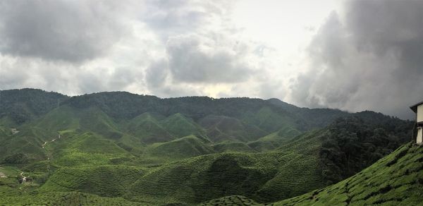 Panoramic view of agricultural field against sky