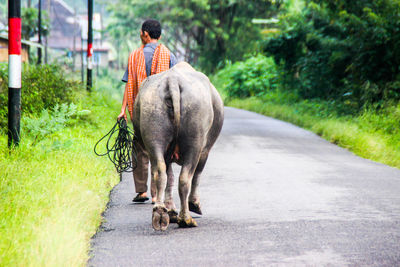 Rear view of man riding motorcycle on road