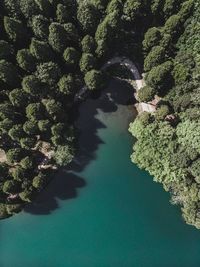 High angle view of trees by sea