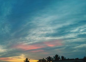 Low angle view of silhouette trees against sky