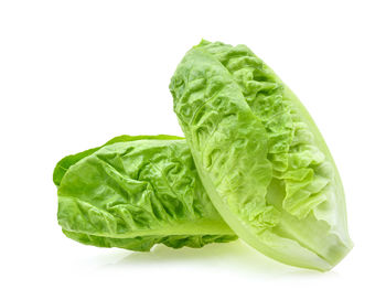 Close-up of green leaf against white background