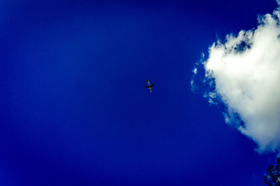 Low angle view of airplane flying in blue sky