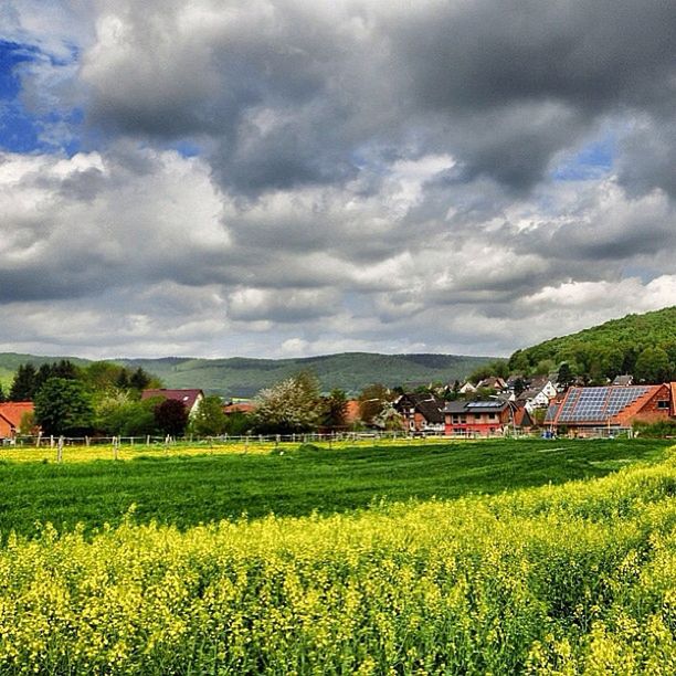 sky, field, landscape, cloud - sky, cloudy, rural scene, tranquil scene, beauty in nature, building exterior, house, agriculture, growth, scenics, cloud, nature, tranquility, farm, flower, grass, built structure
