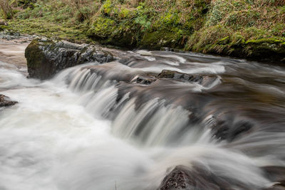 Scenic view of waterfall in forest