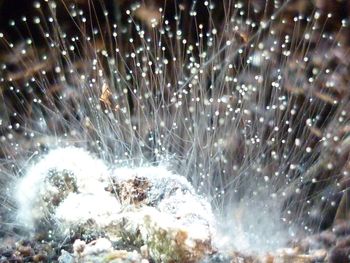 Full frame shot of snow