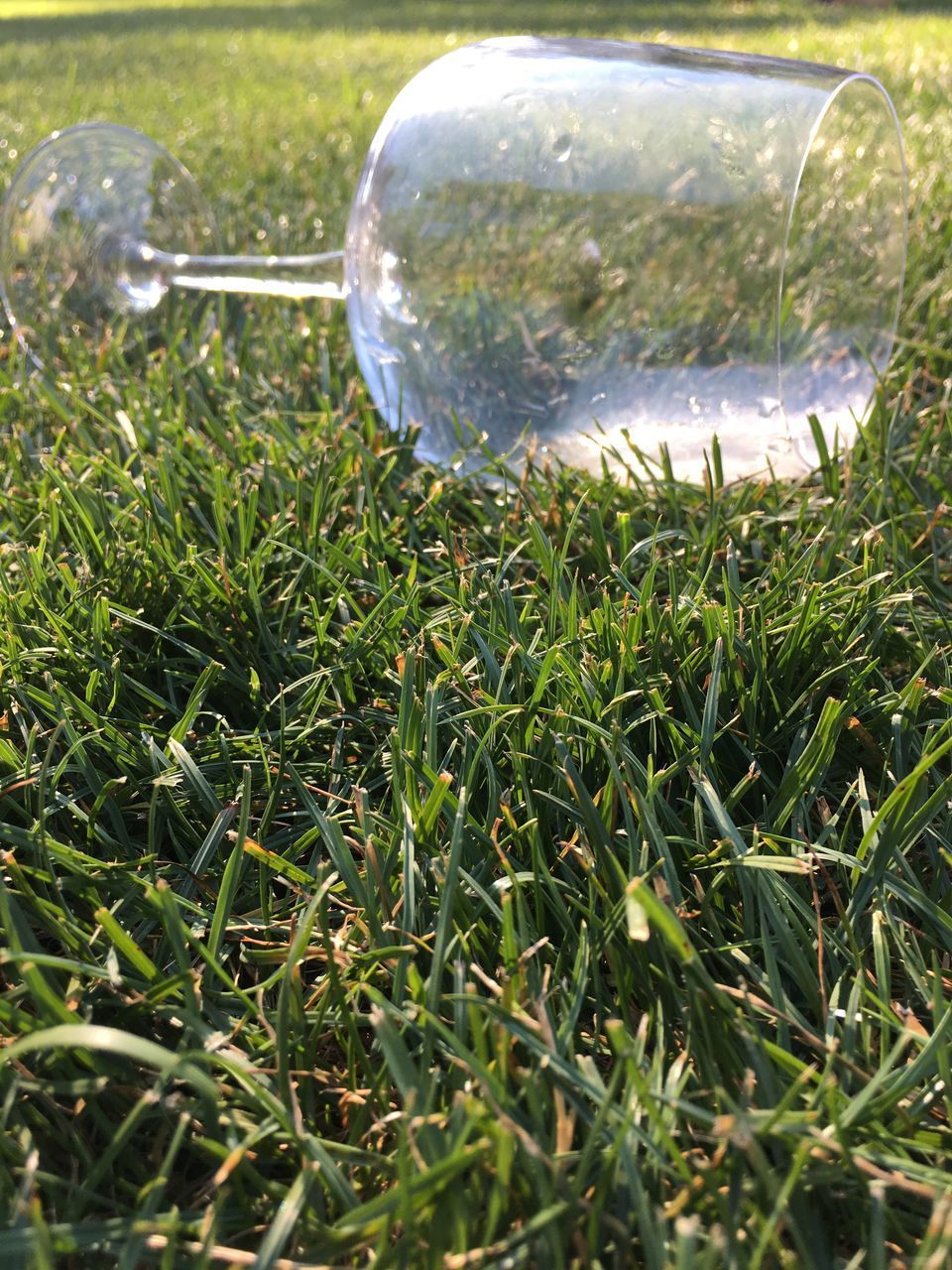 CLOSE-UP OF DEW ON GRASS