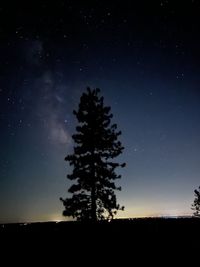 Low angle view of silhouette trees against sky at night