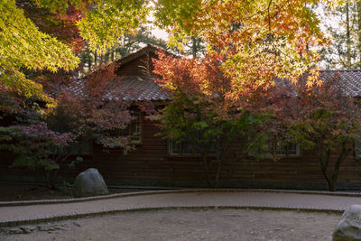 Trees by house during autumn