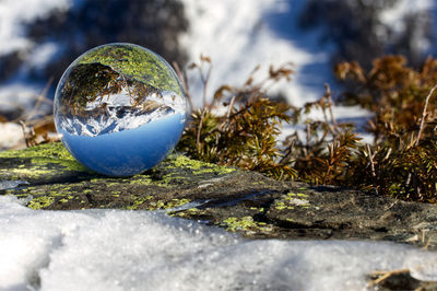 Close-up of crystal ball on rock