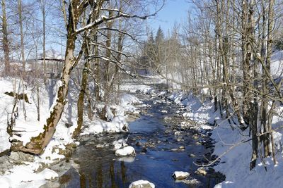 Close-up of bare trees against sky during winter