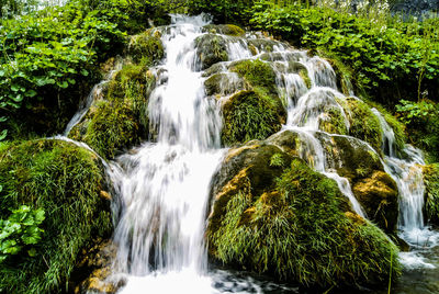 Scenic view of waterfall in forest