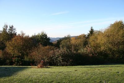 Scenic view of grassy field against sky