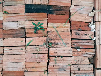 Full frame shot of brick wall